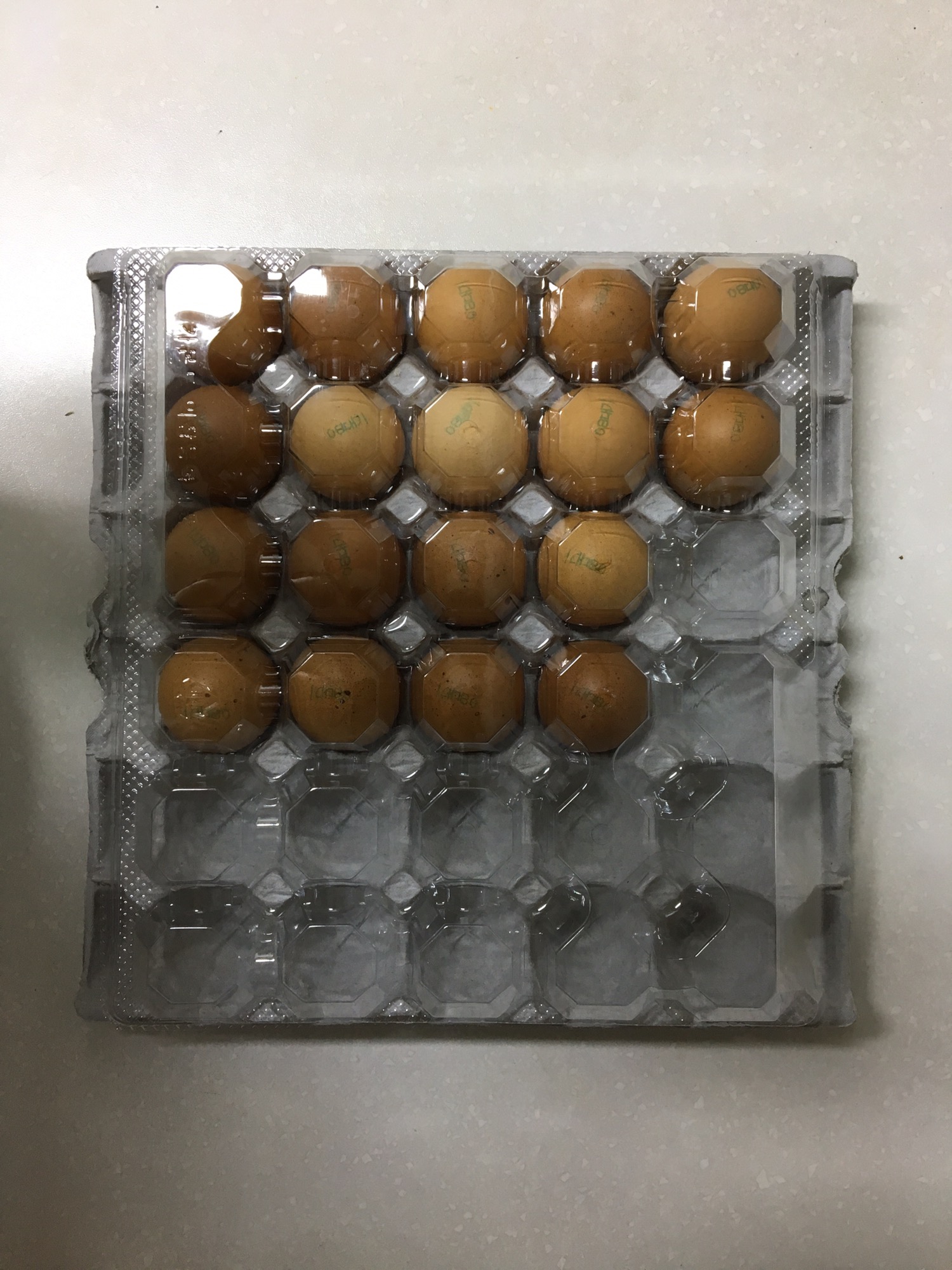 5] 살충제 달걀에 이은 물의 식료품 안전 문제_사진2.JPG